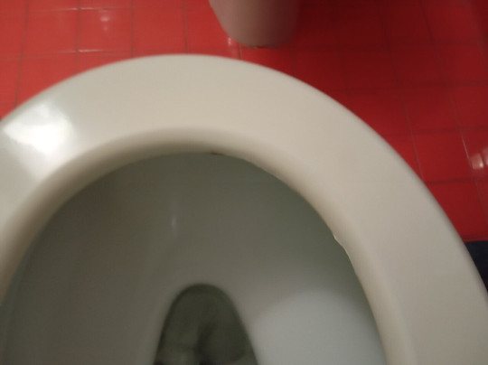 Hotel Cristoforo Colombo主图