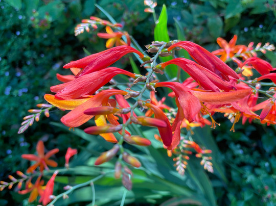 Strzelecki Trail Route 94-Tarra Valley必去景点