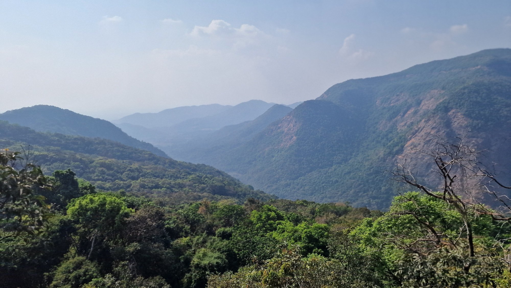 Wildernest Nature Resort-官方