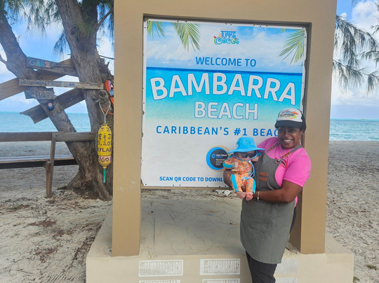 Bambara Beach-Middle Caicos必去景点