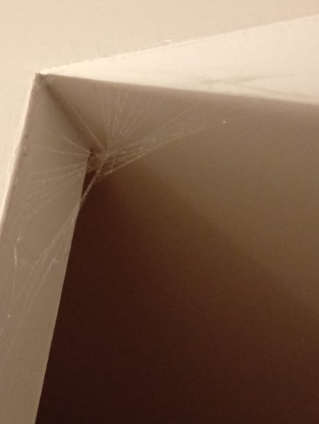 5米利亚酒店-官方