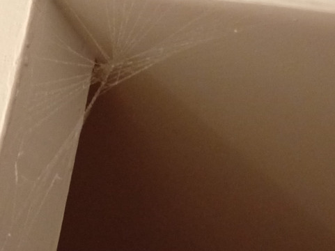 5米利亚酒店主图