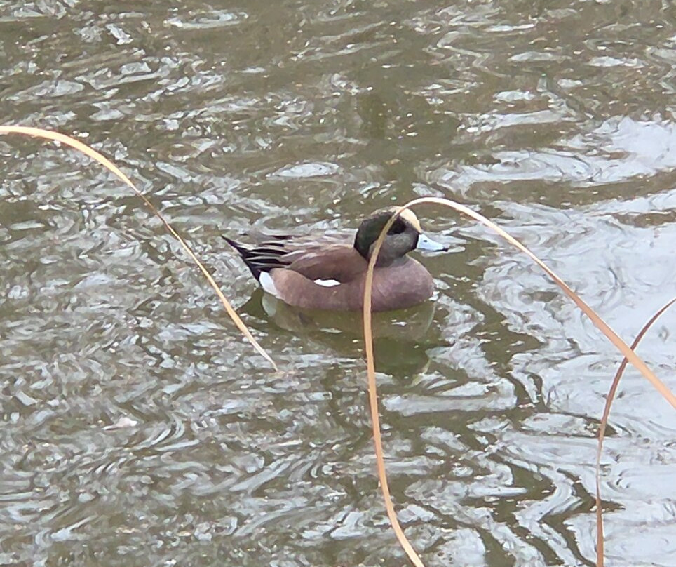 J. Kenneth Smith Bird Sanctuary & Nature Center-罗斯威尔必去景点