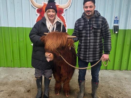 Dumble Farm-比弗利必去景点