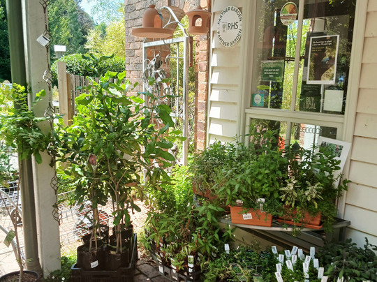 Cloudehill Nursery and Gardens-奥林达必去景点