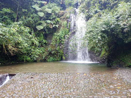 Le SDG - Cascade-Fonds Saint Denis必去景点