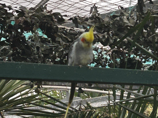 Potter's World-Lanchester必去景点