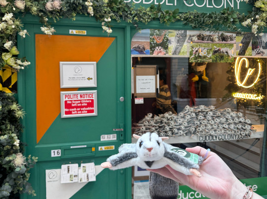 Cuddly Colony-布莱顿必去景点