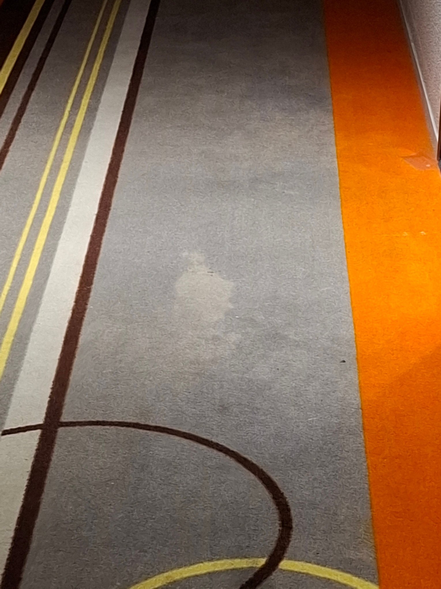 贝桑松诺富特酒店-客卧