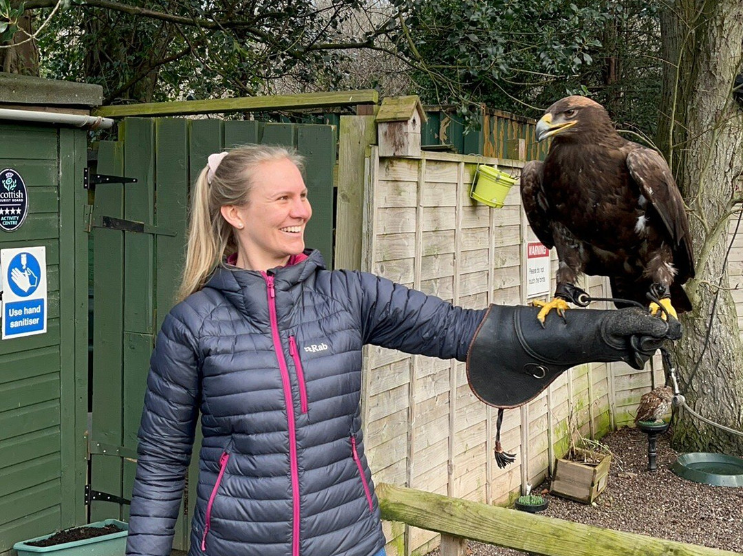 Dalhousie Castle Falconry-邦尼里格必去景点
