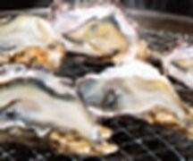 0秒レモンサワー 仙台ホルモン焼肉酒場 ときわ亭 博多春吉店