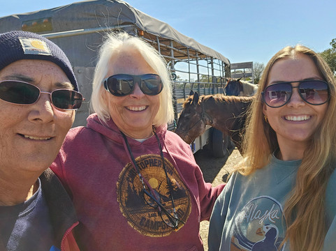 Wagon Wheel Horse Farm-奥基乔比必去景点