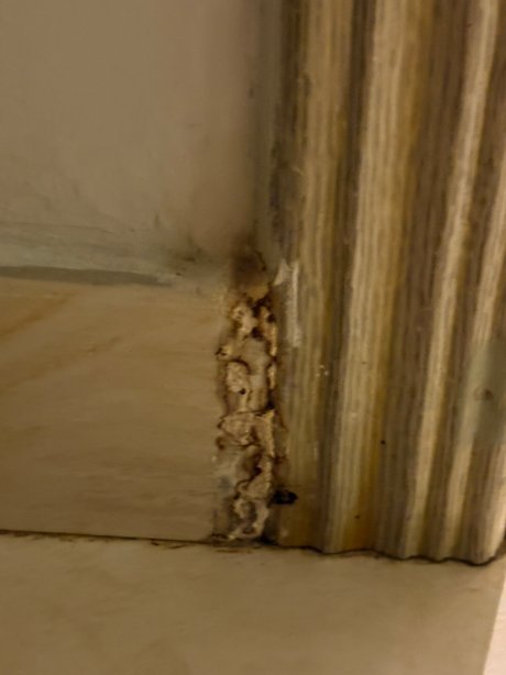 Centara Muscat Hotel Oman-官方