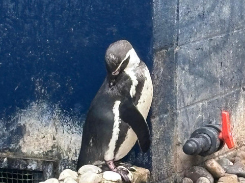 Sealife Adventure-滨海绍森德必去景点