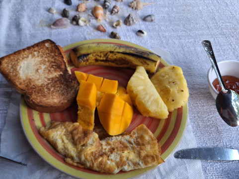 Mafia Whale Shark Tours-Kilindoni必去景点