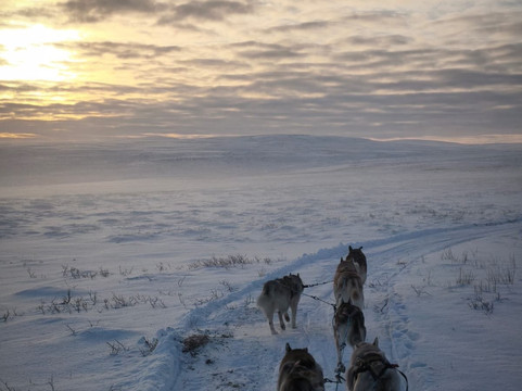 Snow Dogs-米湖必去景点