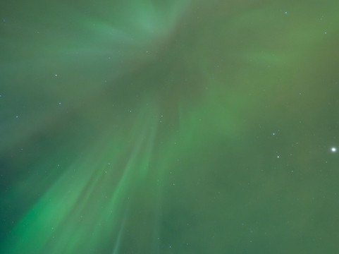 Blue Puffin - Tromso Experiences-特罗姆瑟必去景点