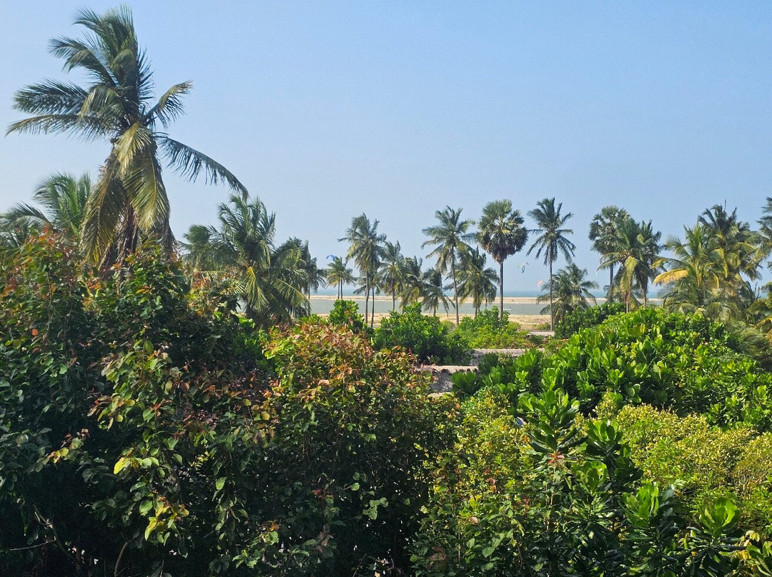 蓝鲸海滩精品度假村主图