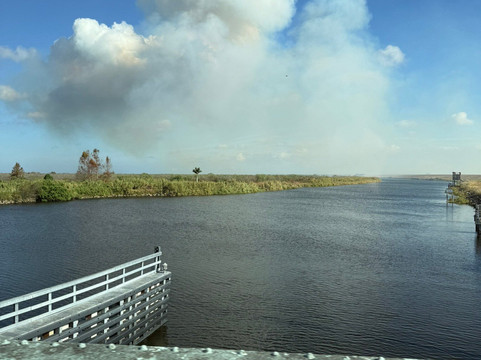 Master Gator Airboat Tours of Palm Beach County-西棕榈滩必去景点