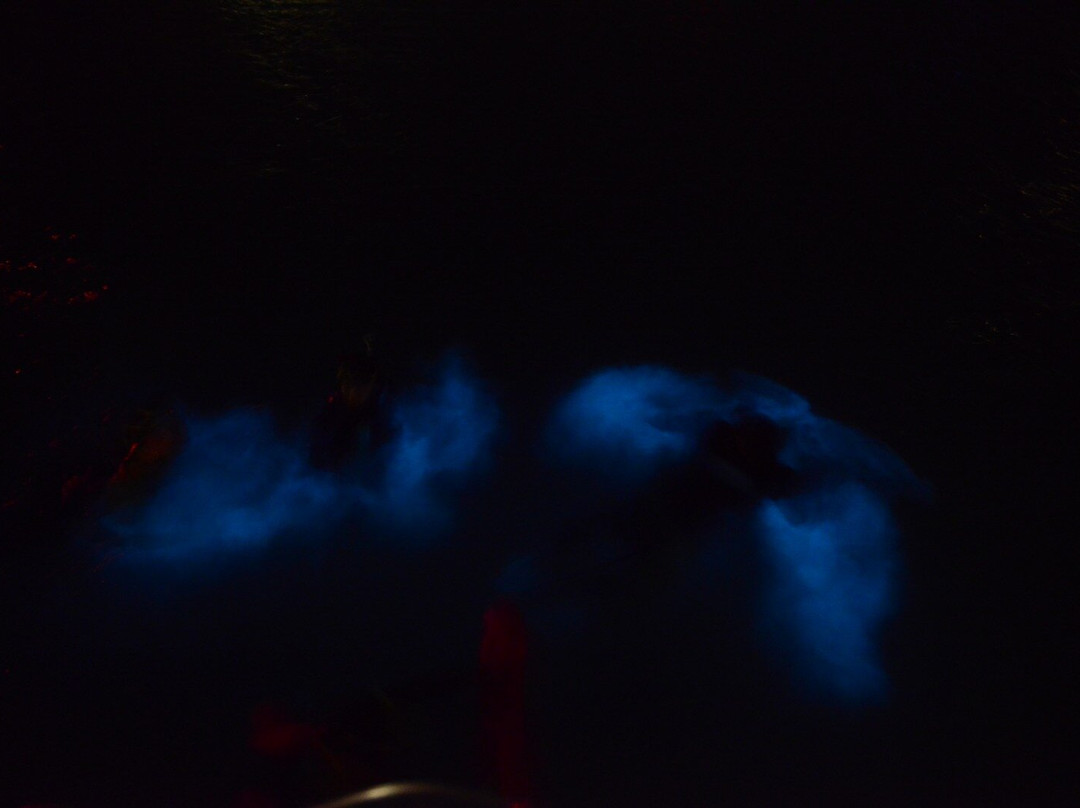 Sweet Spot Watersports-大开曼岛必去景点