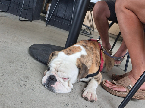 Two Figs Winery-Shoalhaven必去景点