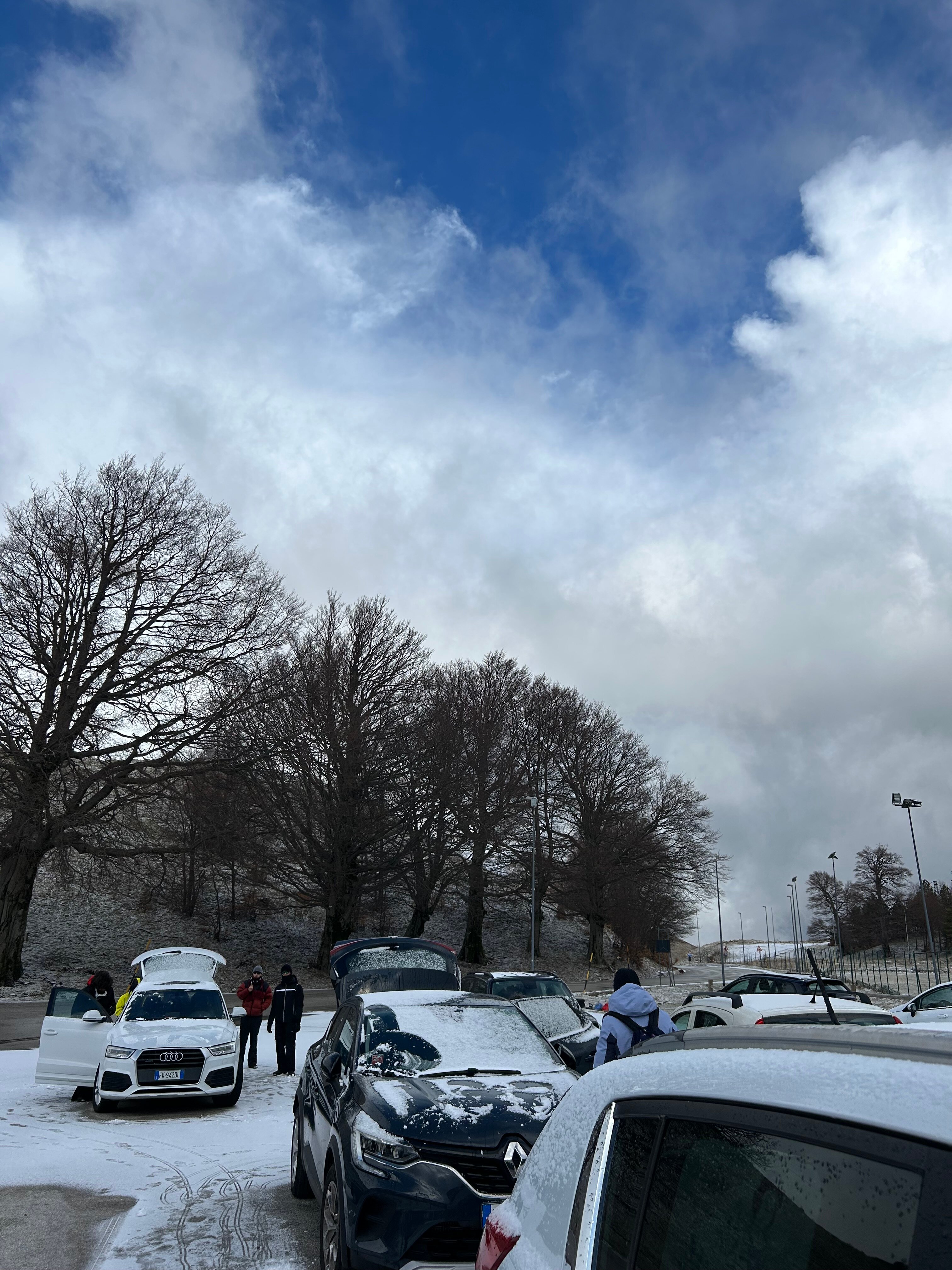 克里斯蒂安尼亚酒店-官方