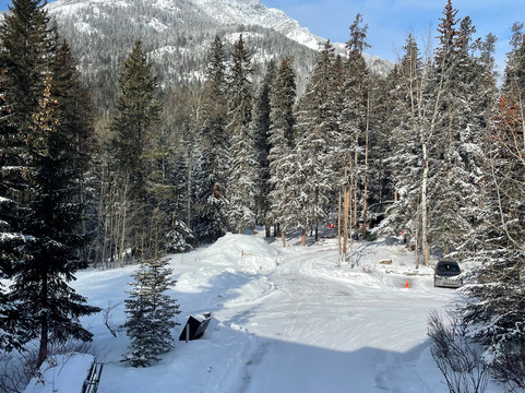 杜松子酒店及酒馆主图