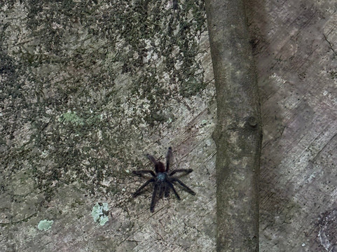 Cascade Couleuvre-Le Precheur必去景点