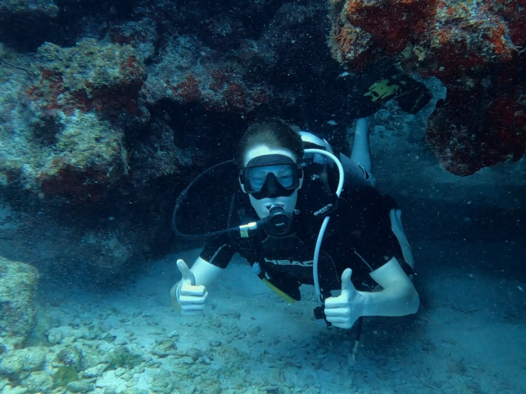 Seahorse Diving School-西湾必去景点