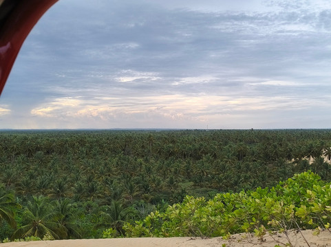 Passeios a Foz do Rio São Francisco - DR TOUR-Piacabucu必去景点