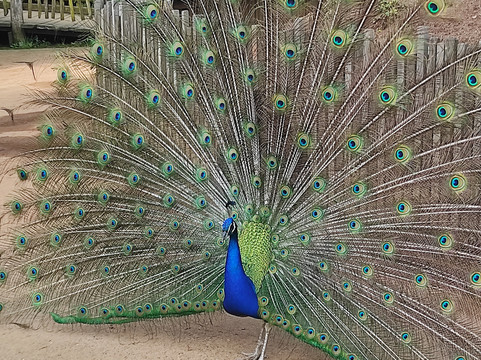 Zoom Torino-Cumiana必去景点