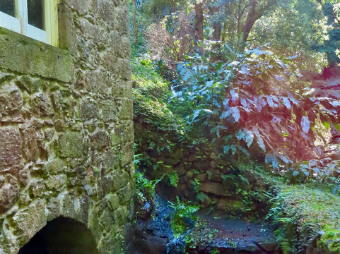 Parque Natural da Ribeira dos Caldeirões-Achada必去景点