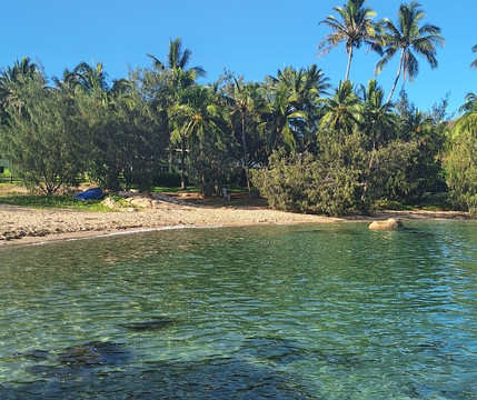 Cape Edgecumbe Walking Trail-博恩必去景点