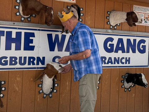 Rooster Cogburn Ostrich Ranch-Picacho必去景点