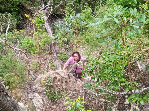 Dog Stream Walkway-汉默温泉必去景点