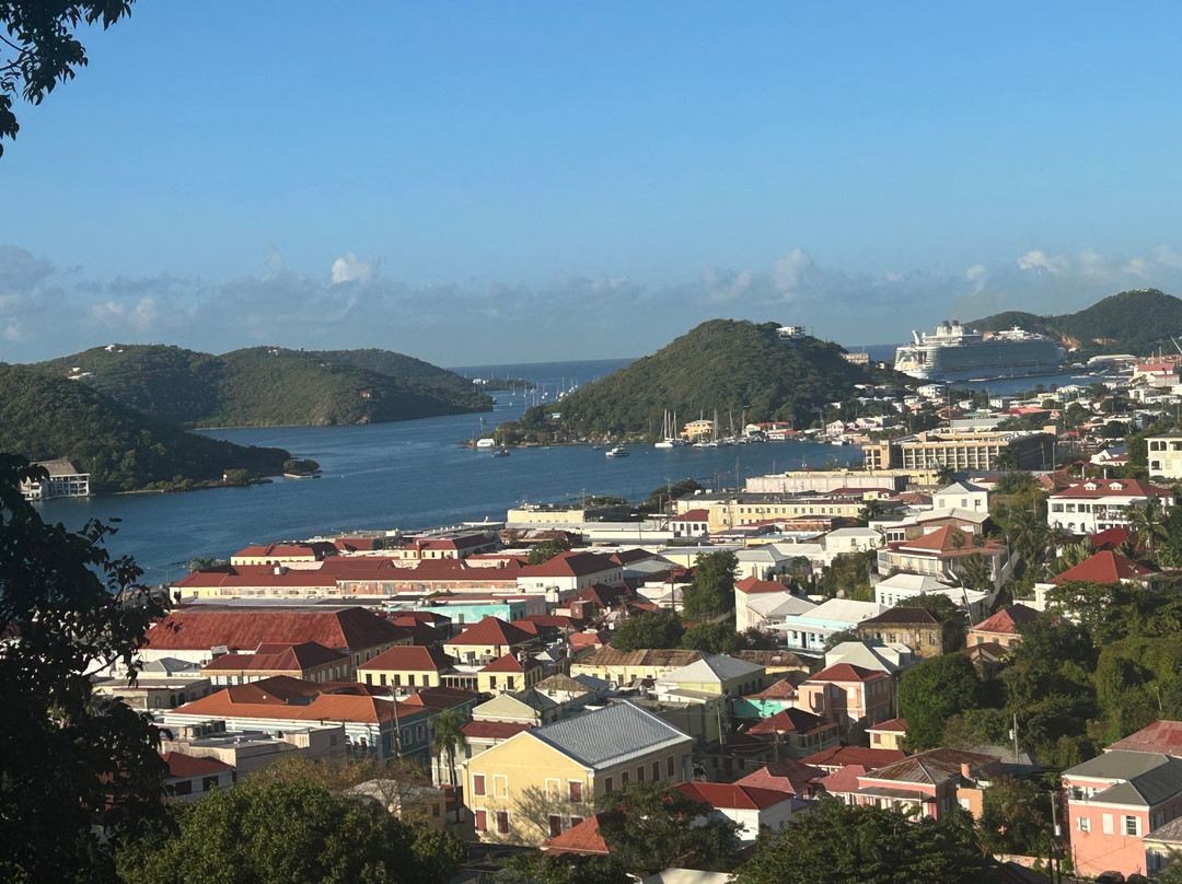 绿鬣蜥酒店主图