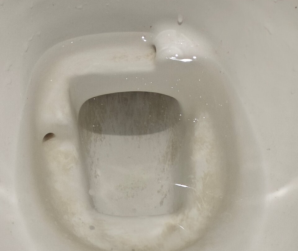 Five Elements Hotel Maplewood Premier Haldwani主图