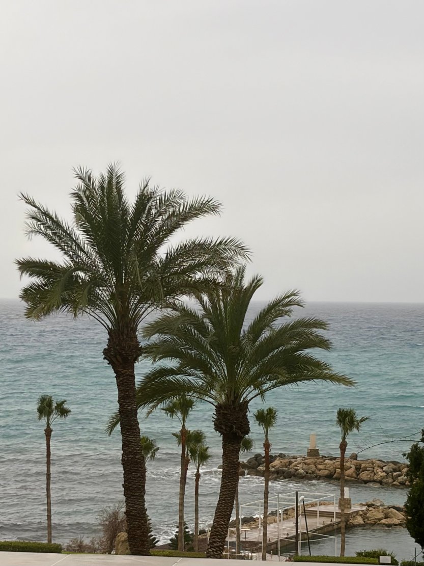 珊瑚海滩度假村酒店-泳池