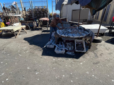 Fish Market-索维拉必去景点