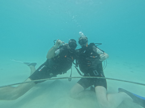 DivePoint Rannalhi-绚丽岛必去景点