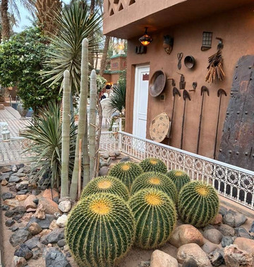 Mountain Desert Tours-马拉喀什必去景点