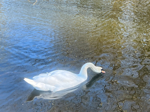 Capstone Farm Country Park-吉林汉姆必去景点