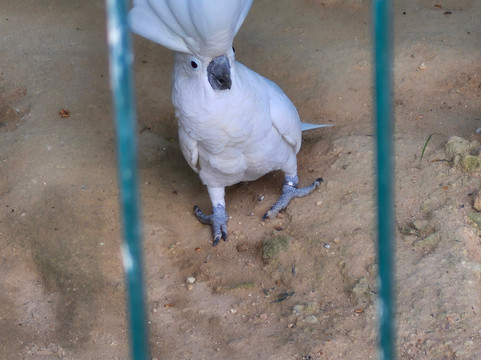 Quinta Fotoplanet Farm-阿尔布赞拉必去景点
