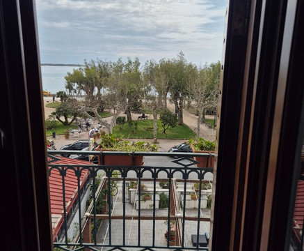 皮萨卡尼套房主图