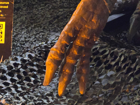 Jurassic Quest-Conroe必去景点