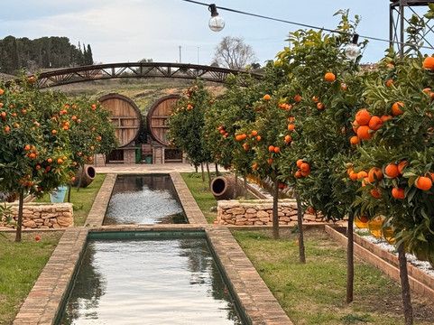 Gastro Botànic & Co. - Casa Padró