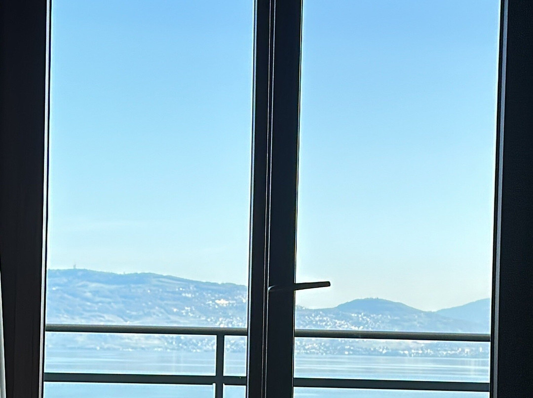 乐莱蒙酒店主图