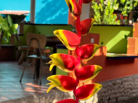 Posada Casa Riqui Riqui主图