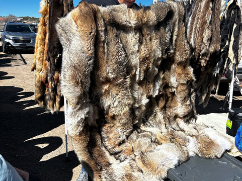 Gallup Flea Market-盖洛普必去景点