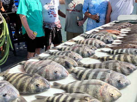 FH Offshore / Deep Sea Charters-恩格尔伍德必去景点